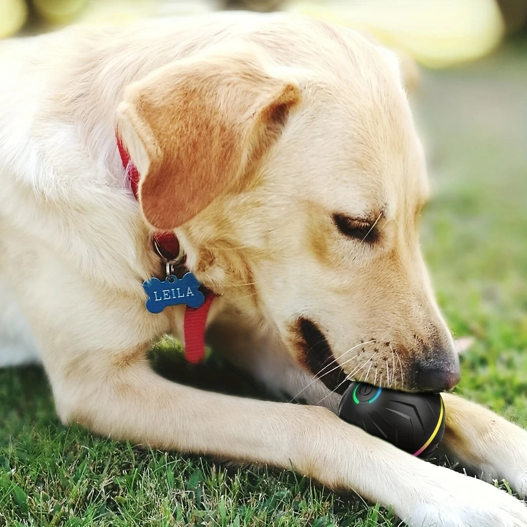Pelota Interactiva para Perros con Luces y Movimiento